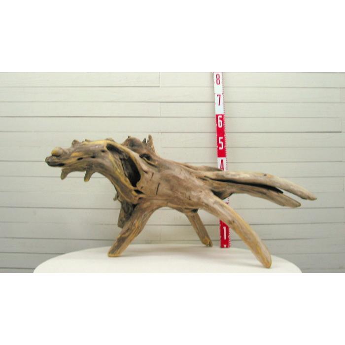 何かに見えそうな大型変形流木根素材 j69 国産流木素材 工作用素材 ディスプレイ用 ガーデニング用資材等に |  | 01