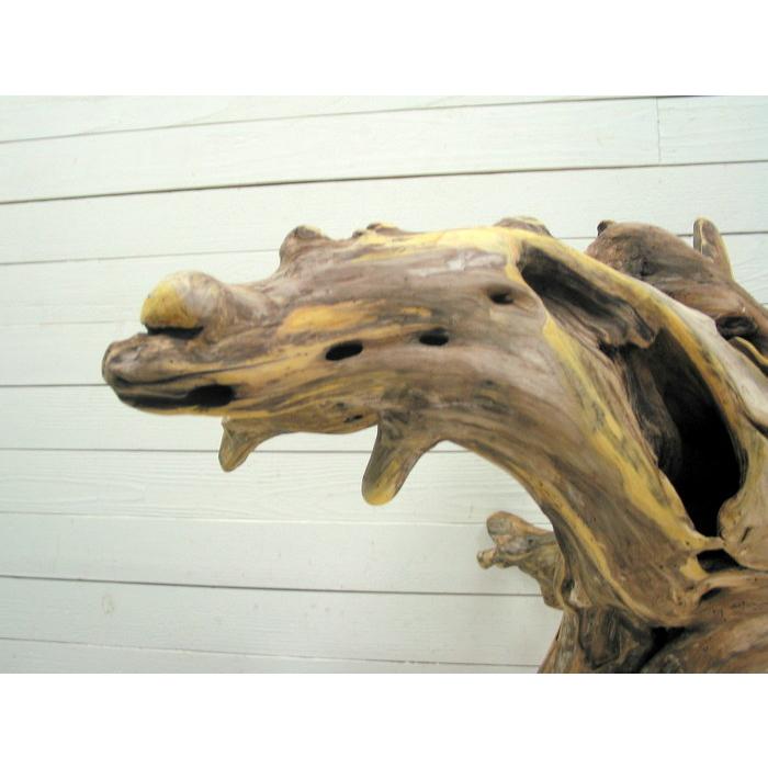 何かに見えそうな大型変形流木根素材 j69 国産流木素材 工作用素材 ディスプレイ用 ガーデニング用資材等に |  | 03