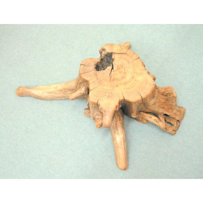 ディスプレイ用大型流木切り株台 ja104 流木アートの