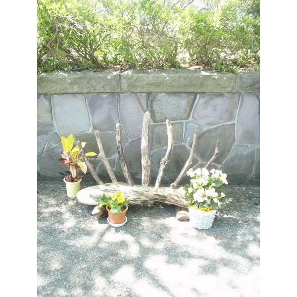 ガーデニング流木オブジェフェンス lc11 流木アートのレットイットビー