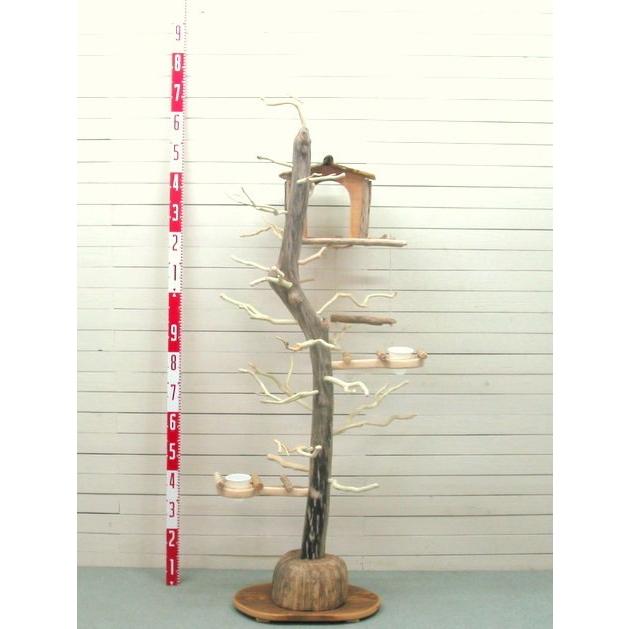 オリジナル大型流木バードジムタワースタンド pb32 ペット用品　鳥の止まり木スタンド　バードジム　巣箱　餌台　多目的飾り棚台 