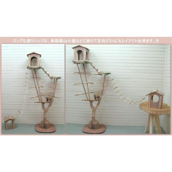 【希少品】 オリジナル大型流木バードジムスタンド（ツリーハウスオブジェタイプ）pb67 【HO7334475800】(26130円)