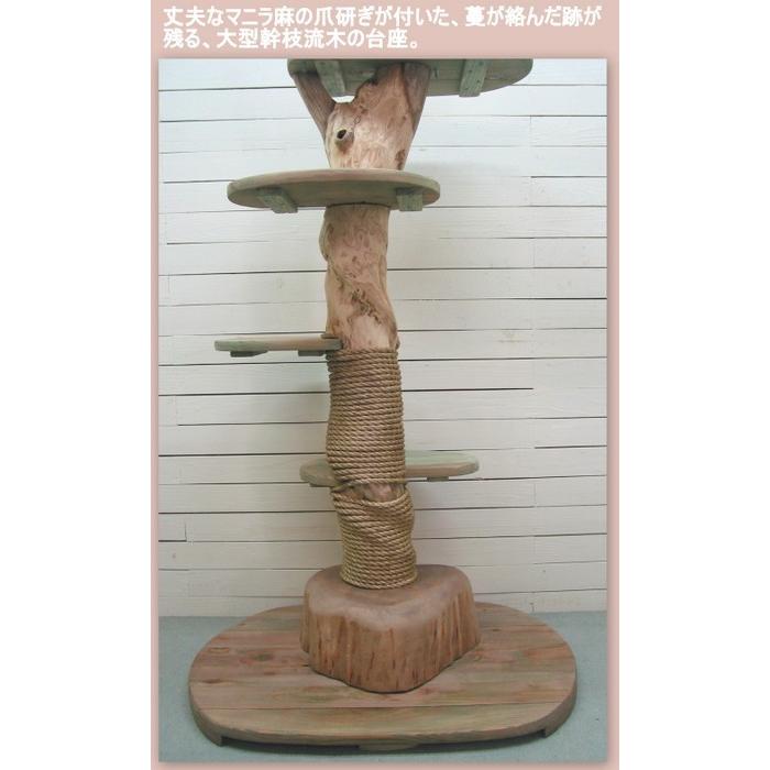 新作超大型オリジナル流木キャットタワー pk50 : 流木アートの