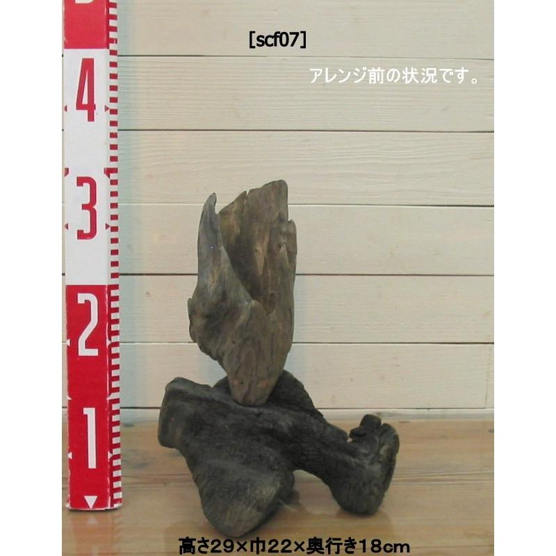 流木フラワーアレンジ コラボ作品　scf07　オリジナル流木インテリア雑貨　アートオブジェ　花器　花台　華材　花瓶　ディスプレイスタンド　置物 |  | 05