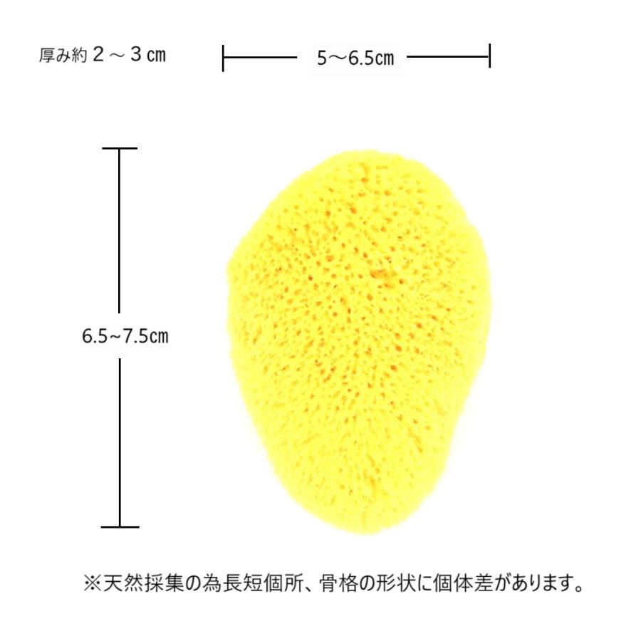 天然海綿　洗顔用 |  | 01