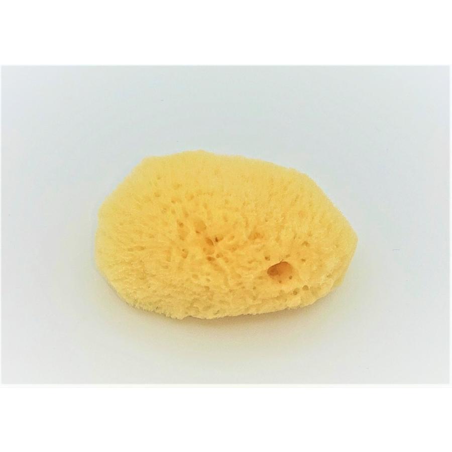 天然海綿　洗顔用 |  | 03