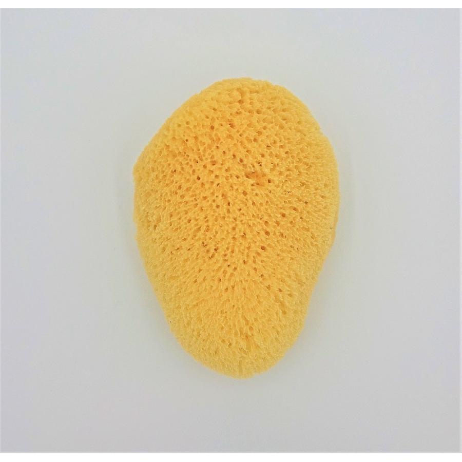 天然海綿　洗顔用 |  | 04