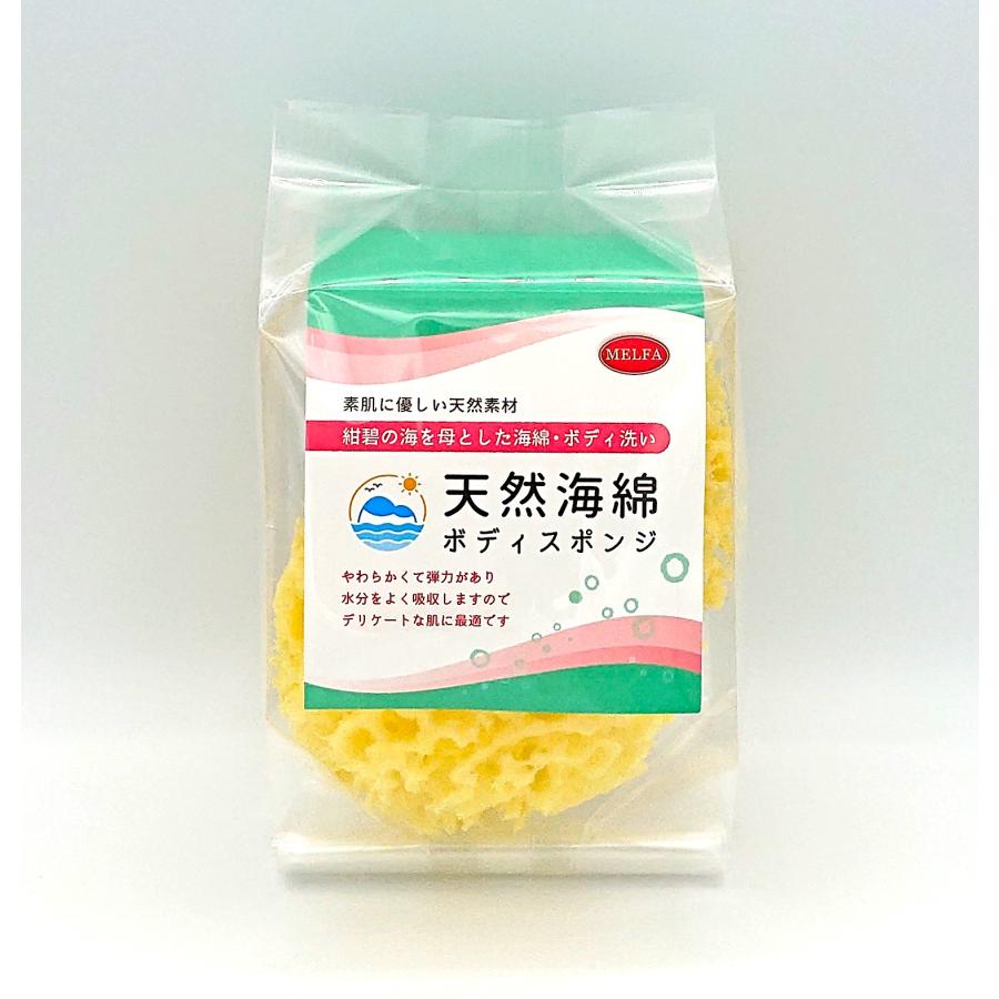 天然海綿ボディスポンジL ギリシャ産 ハニコム種 |  | 01