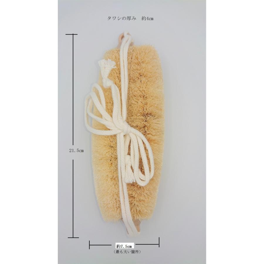 健康ボディタワシ ソフト |  | 01