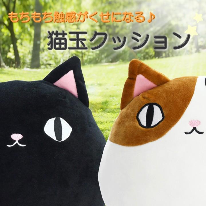 ねこ様☆2セット　キズ多めM玉　2.5kg+規格外500g パッションフルーツ にゃん屋 新生活 プレゼント 猫グッズ 雑貨 猫玉クッション 2種