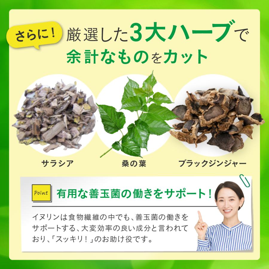 イヌリン 61,000mg 乳酸菌入り ヨーグルト風味 タブレット 1日3粒 90粒 30日分 菊芋 ビフィズス菌 オリゴ糖 ナットウキナーゼ 桑の葉 ブラックジンジャー |  | 06