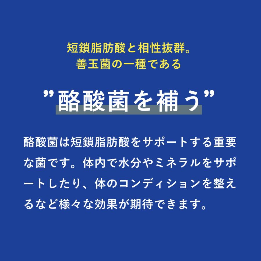 ビオナス 酪酸菌 サプリ 3袋セット 90日分 フラクトオリゴ糖 イヌリン ビフィズス菌 乳酸菌 善玉 菌 腸内 フローラ ダイエットサプリ 乳酸菌サプリ 女性 |  | 09