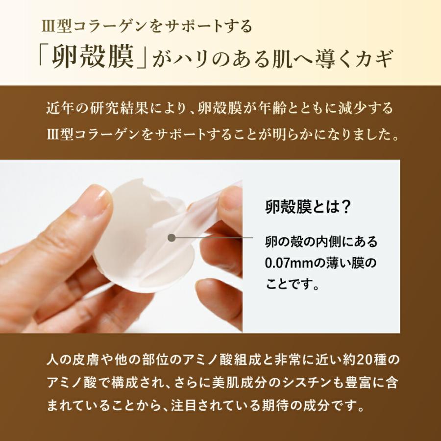 卵殻膜 美容液 セルニス 単品 30ml 導入美容液 ブースターセラム 保湿 セラミド シカ ビタミンC誘導体 化粧水 乾燥肌 毛穴ケア F |  | 06