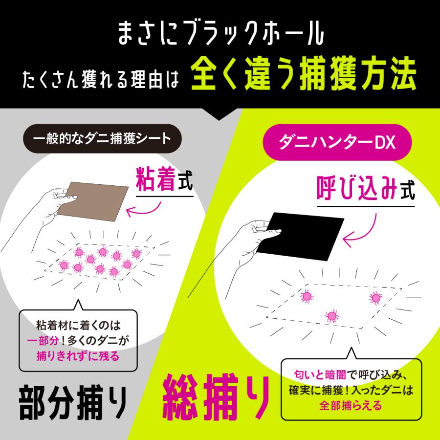 ダニ取りシート ダニハンターDX 3枚入り 3か月持続 ダニトリシート