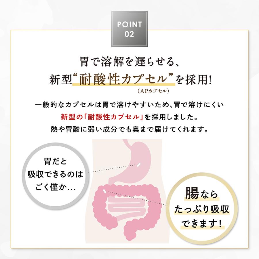 サプリ 15500 3本 成分量分析済 レバンテ 日本製 単品 純度100% NMN15500mg 1ヶ月分 還元型コエンザイムQ10 【フェムニケアフード】 美容 F