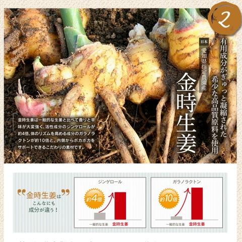 葉酸サプリ たんぽぽブレンドティー ママニック 2点セット 妊活 妊娠 無添加 ビタミン 鉄分 葉酸サプリメント たんぽぽ茶 生姜 ごぼう M Set002 レバンテ ヤフーショップ 通販 Yahoo ショッピング