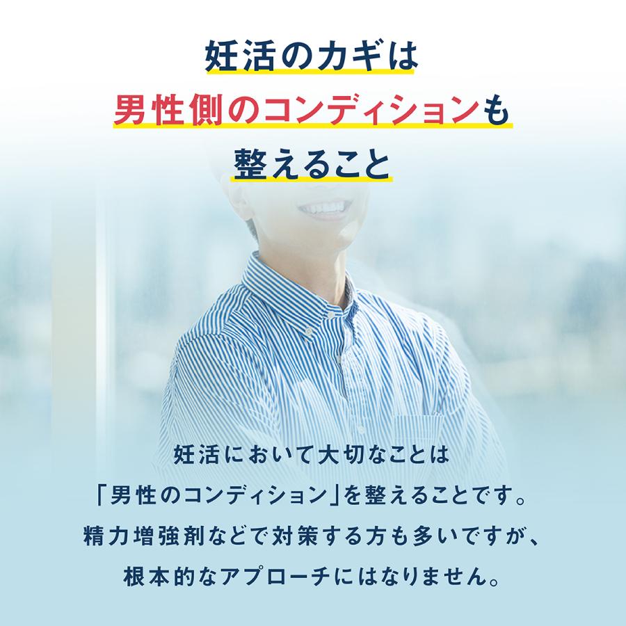 パパニック 1ヶ月分 93粒 男性 サプリ 有機 マカ 亜鉛 葉酸 コエンザイムQ10 栄養機能食品 ビタミンE ビタミン カルニチン α-リポ酸 F｜levante｜04