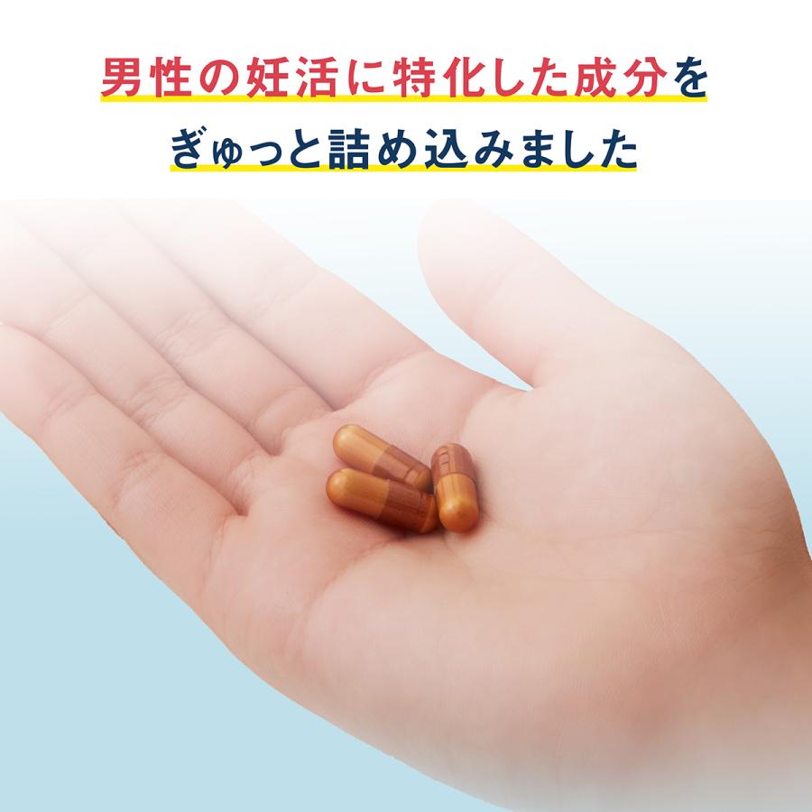 パパニック 1ヶ月分 93粒 男性 サプリ 有機 マカ 亜鉛 葉酸 コエンザイムQ10 栄養機能食品 ビタミンE ビタミン カルニチン α-リポ酸 F |  | 05