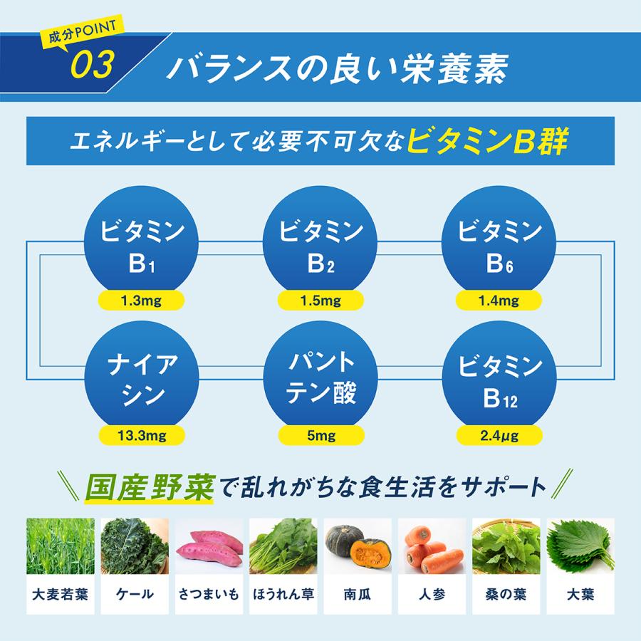 パパニック 1ヶ月分 93粒 男性 サプリ 有機 マカ 亜鉛 葉酸 コエンザイムQ10 栄養機能食品 ビタミンE ビタミン カルニチン α-リポ酸 F｜levante｜09