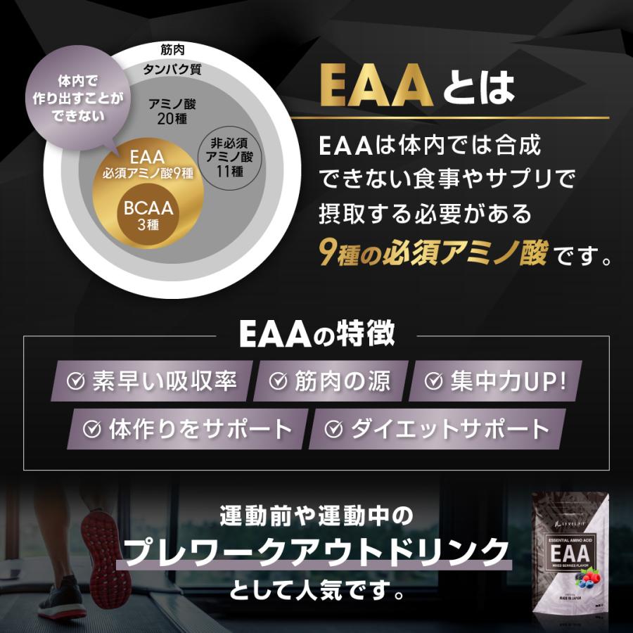 LEVEL.FIT（レベルフィット） LEVEL.FIT EAA ミックスベリー風味 630g