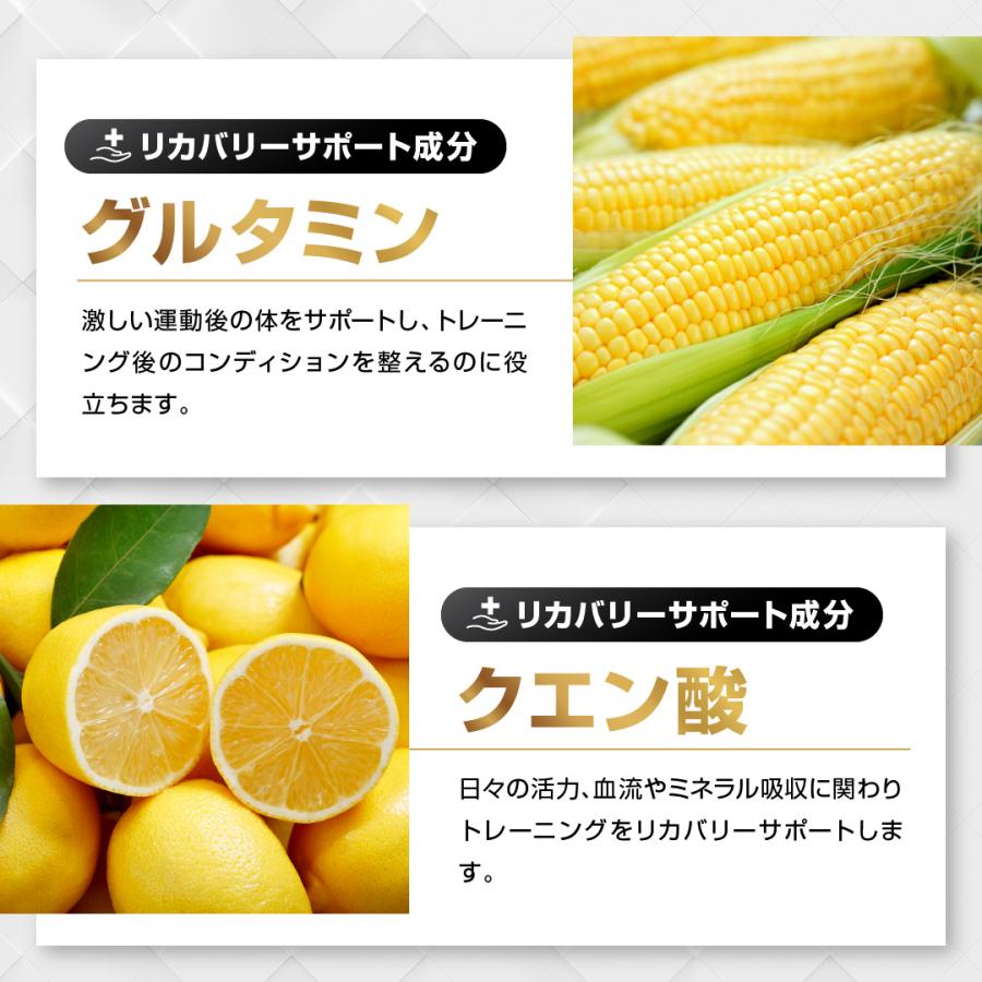 BULK EAA オールインワン eaa 人工甘味料不使用 無添加 500g はちみつレモン風味 日本製 |  | 10