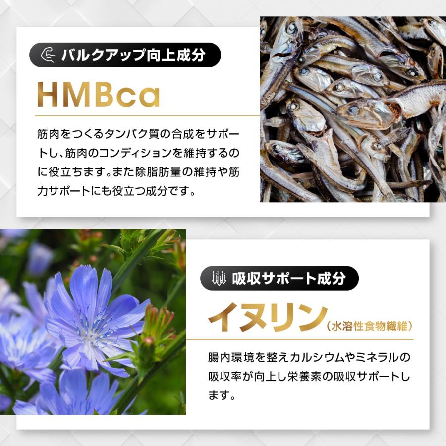 BULK EAA オールインワン eaa 人工甘味料不使用 無添加 500g はちみつレモン風味 日本製 |  | 08