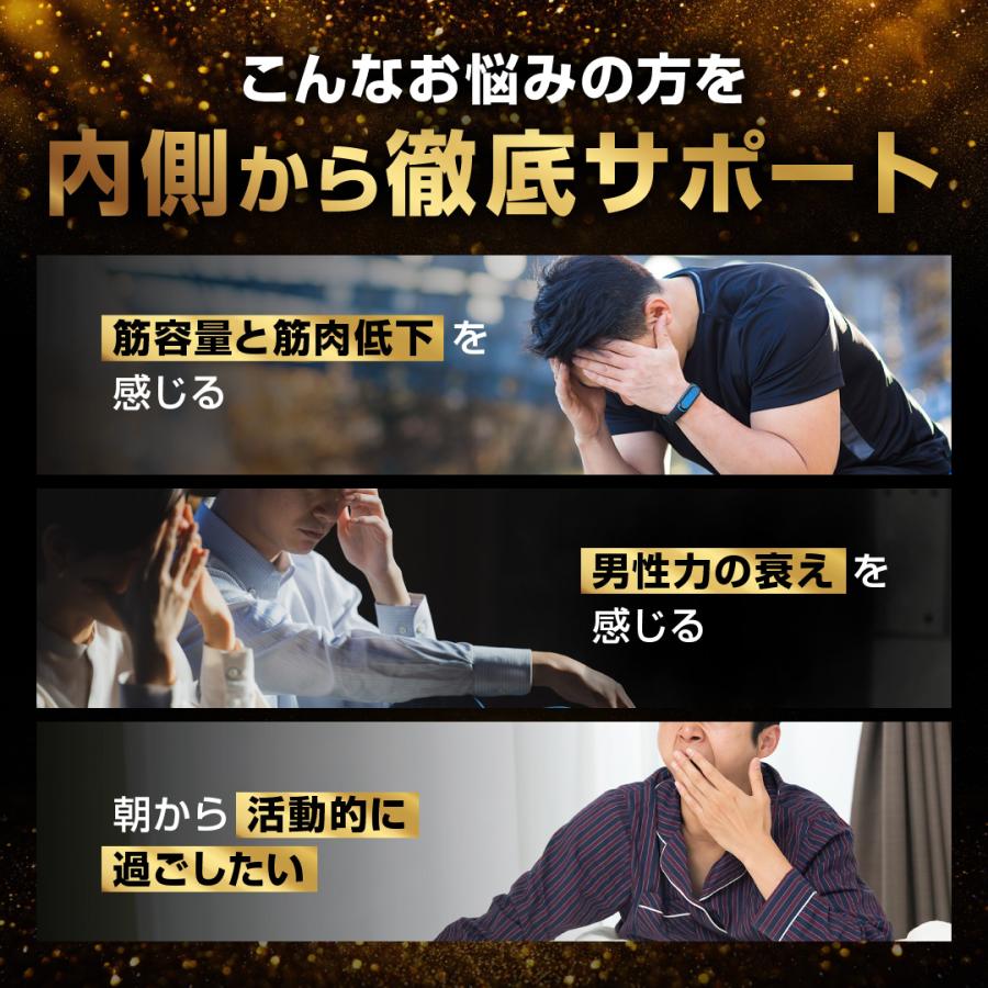 テストステロン LEVEL.FIT TEST ROID EX テストロイドEX 90粒 2個セット 2%OFF : LEVEL.FIT ...