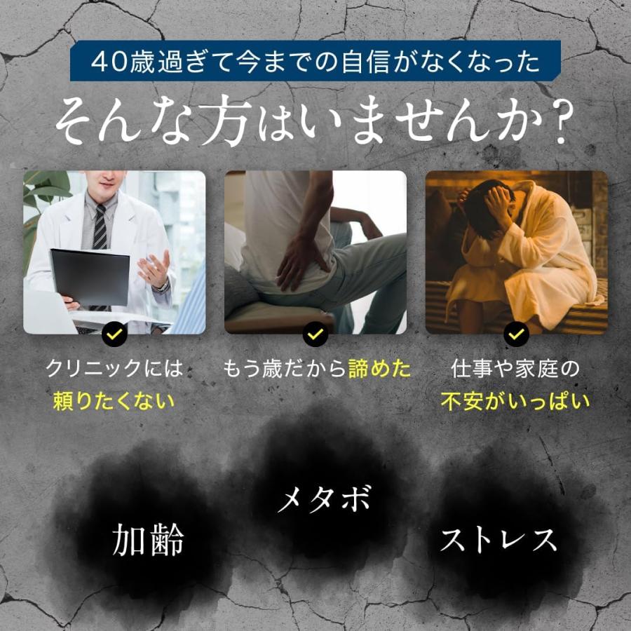 Dr.テストステロン TESTARIZE 2個セット テストフェン トンカットアリ サプリ グルコン酸亜鉛 LJ100 ［栄養機能食品］90粒 亜鉛 メンズ 男性 |  | 03