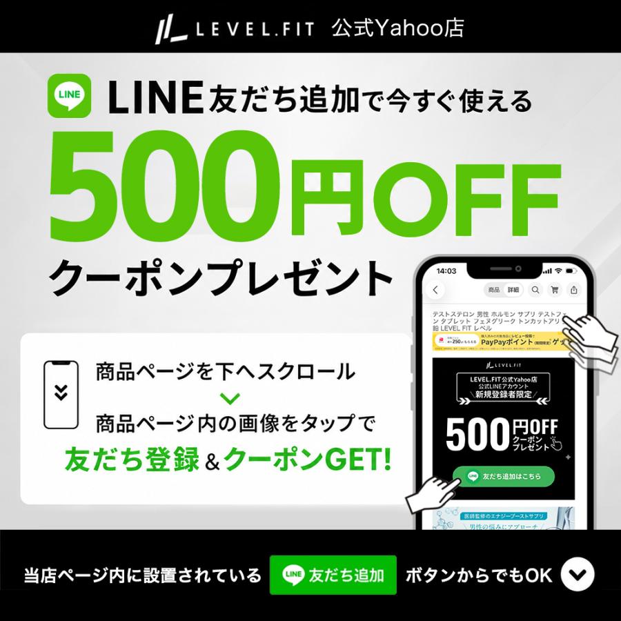 Dr.テストステロン TESTARIZE テストフェン トンカットアリ サプリ グルコン酸亜鉛 LJ100 [栄養機能食品] 90粒 亜鉛 メンズ 男性 |  | 14