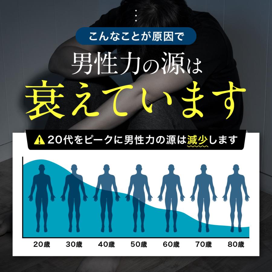 Dr.テストステロン TESTARIZE テストフェン トンカットアリ サプリ グルコン酸亜鉛 LJ100 [栄養機能食品] 90粒 亜鉛 メンズ 男性 |  | 04