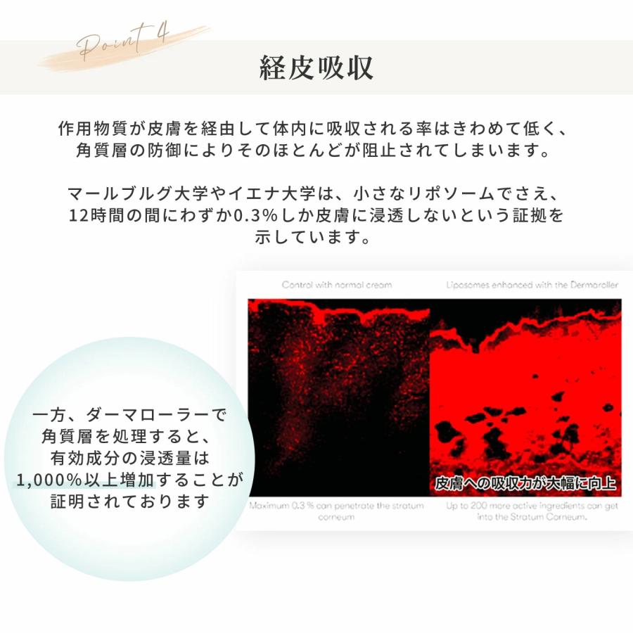 ダーマローラー hc902 正規 ドイツ 医療 美顔器 ニキビ跡 毛穴 ケア 美容鍼 鍼灸 爆買の画像