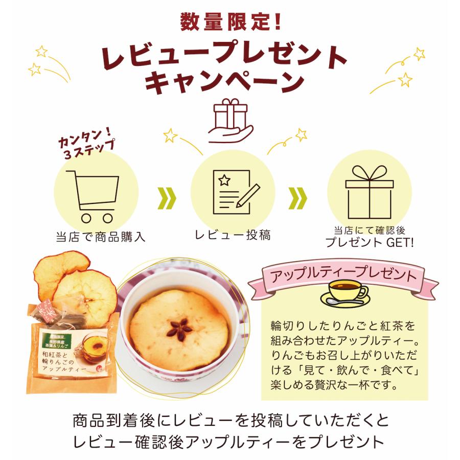 ダーマローラー hc902 正規 ドイツ 医療 美顔器 シミ 色素沈着 美容鍼 鍼灸 爆買の画像