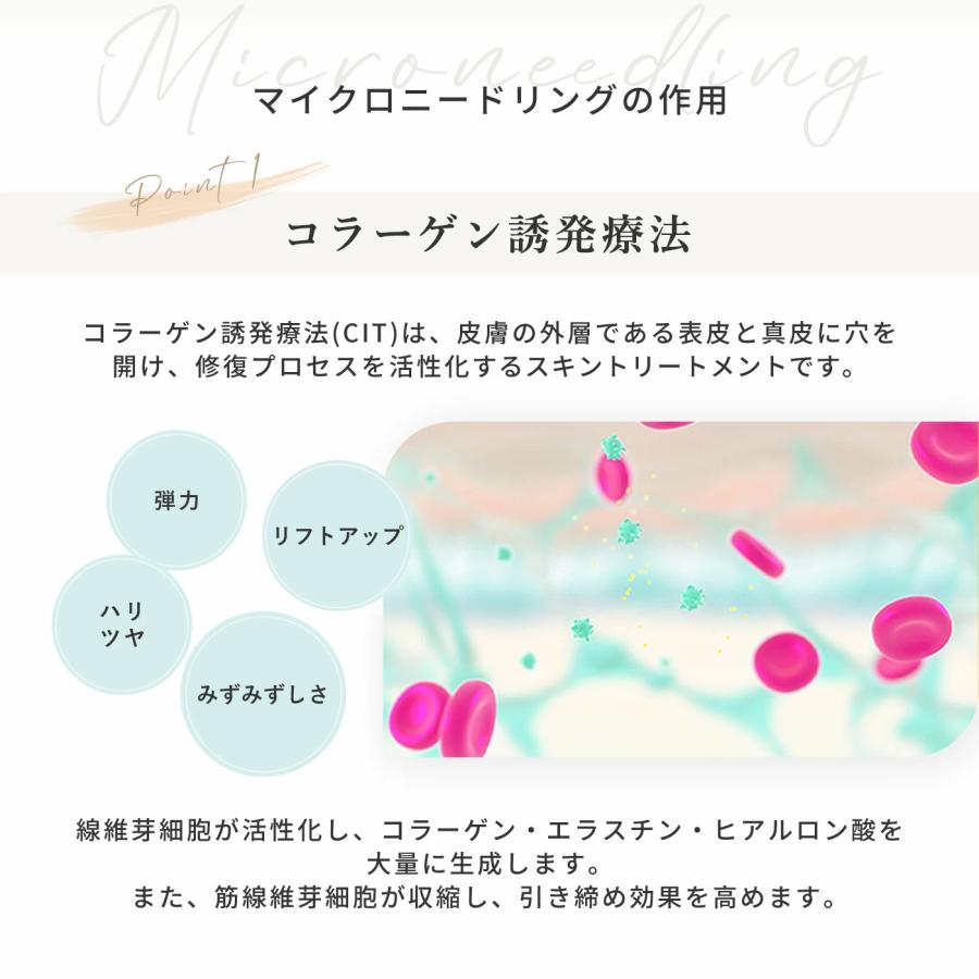 Dermaroller（ダーマローラー） hc902 正規 ドイツ 医療 美顔器 シミ