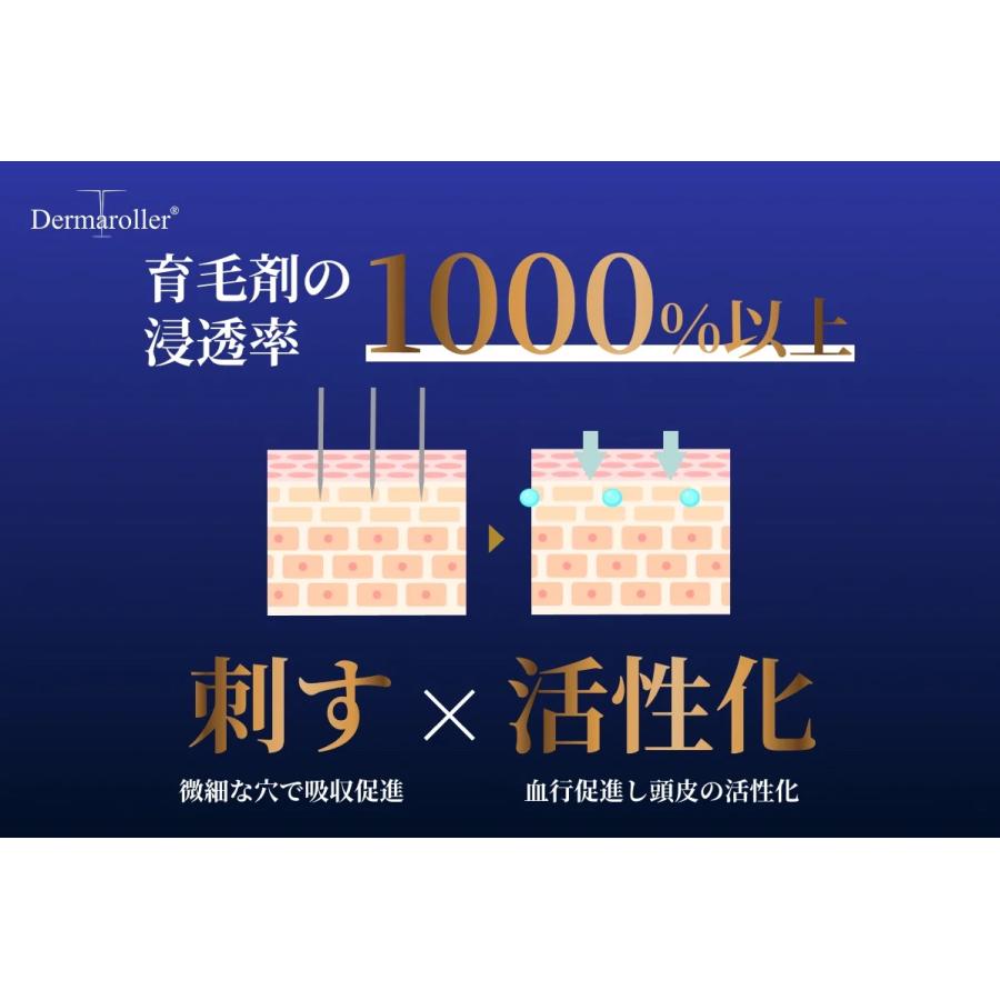 Dermaroller（ダーマローラー） hc902 育毛 頭皮活性化 ヘアローション