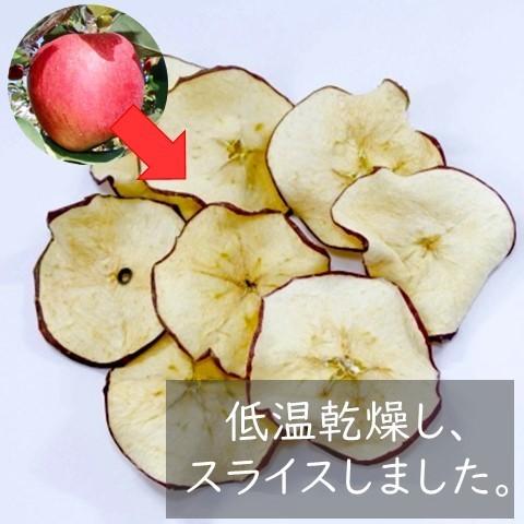 紅茶 アップル ティーバッグ ギフト ポット おしゃれ りんご 茶葉｜lf-shop｜11