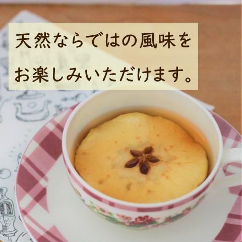 紅茶 アップル ティーバッグ ギフト ポット おしゃれ りんご 茶葉｜lf-shop｜09
