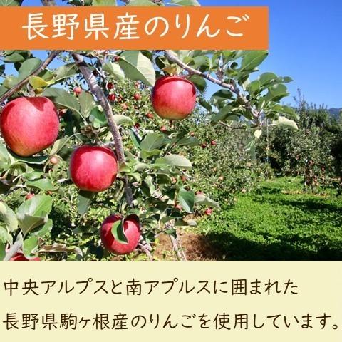 紅茶 アップル ティーバッグ ギフト ポット おしゃれ りんご 茶葉｜lf-shop｜10