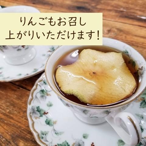 アップルティー 紅茶 ティーバッグ りんご 5袋 ギフト 食べれる