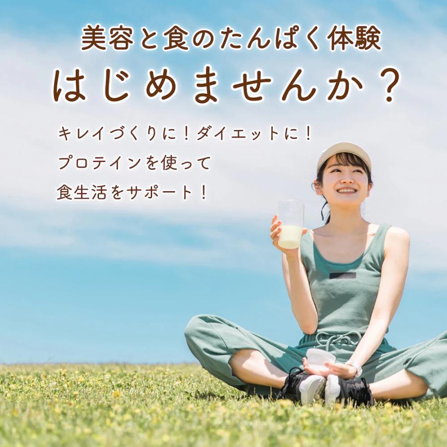 プロテイン 植物性 女性 40代 50代 タンパク質 スーパーフード 発酵 美肌 腸活 ダイエット |  | 11