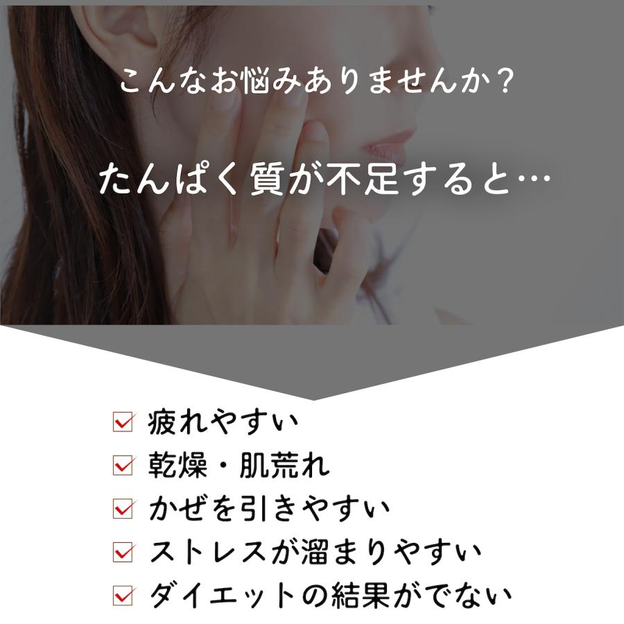 プロテイン 植物性 女性 40代 50代 タンパク質 スーパーフード 発酵 美肌 腸活 ダイエット |  | 06