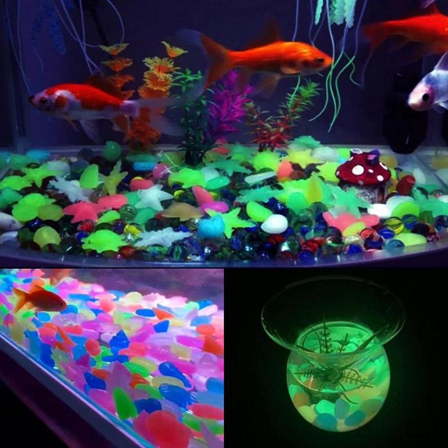 ルナリ 夜行石 彩り石 発光石 飾り石 水槽 アクアリウム インテリア ガーデン 植木鉢 貝殻 ヒトデ 100個セット 貝殻 石 Gys Lft Shop ヤフー店 通販 Yahoo ショッピング