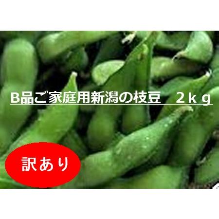 ワケアリ品 格安】新潟黒埼産のブランド枝豆2kg 粒の不ぞろい