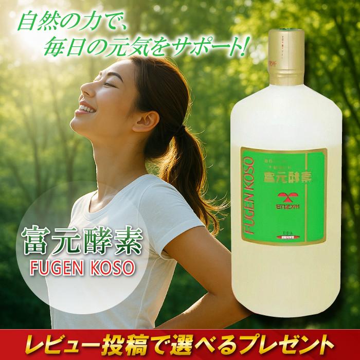 富元酵素 1000ml 酵素飲料 酵素ドリンク 富源酵素 ふげん 果汁酵素 活性酵素 活性酵母 果汁酵素 富元 酵素 無添加 エンチーム 富元酵素 1000mL エンチーム 酵母菌 酵素 果汁 パイナップル