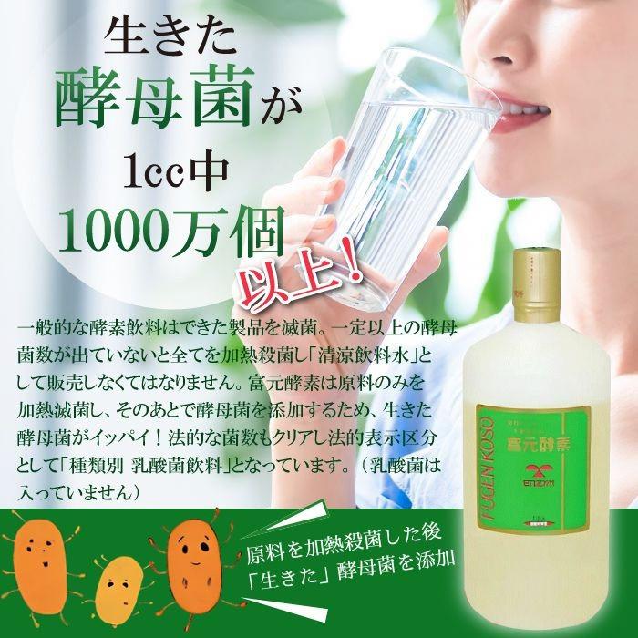 富元酵素 1000mL エンチーム 酵母菌 酵素 果汁 パイナップル