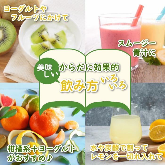 富元酵素 1000mL エンチーム 酵母菌 酵素 果汁 パイナップル