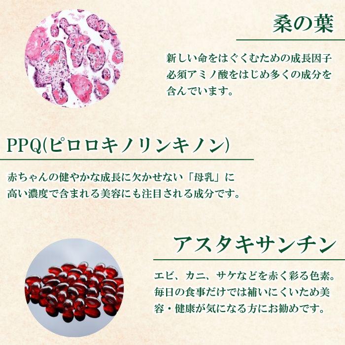 ランキング1位 ワコナルビューティー Connect Peau 3g 100本 WAKONARU