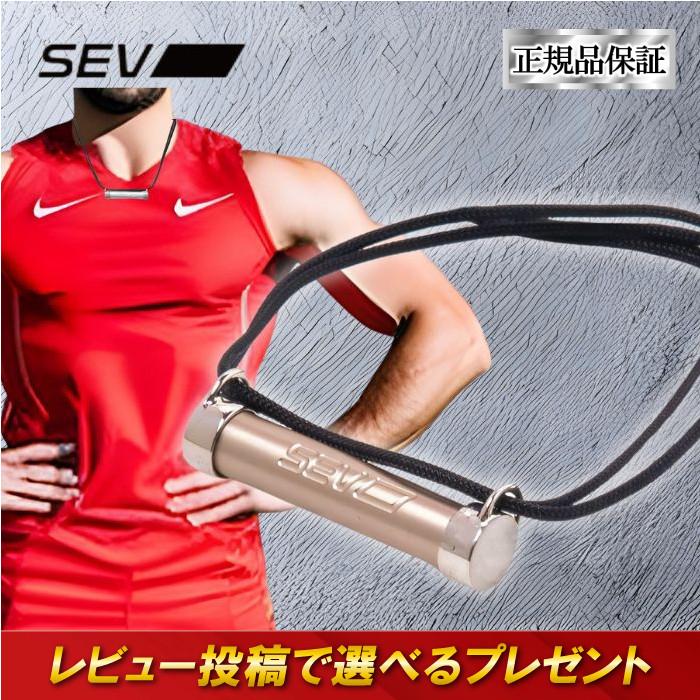 SEV（セブ） SEVメタルレールSi-TypeFit タイプフィット SEVネックレス