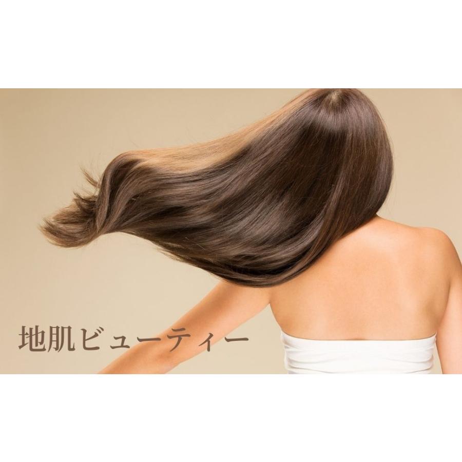 シャンプーブラシ 毛穴汚れや頭皮マッサージに スカルプケア