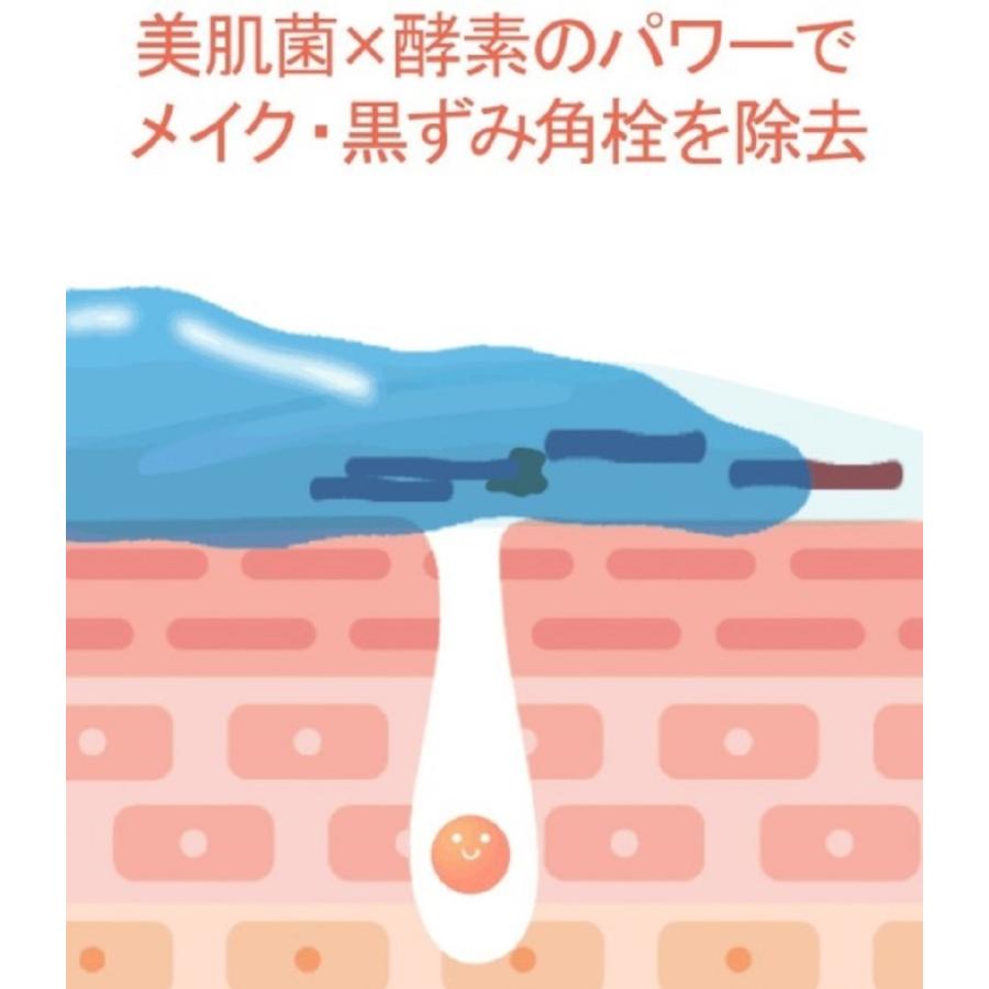 公式lialusterリアラスター ナチュラルビオクレンジングセラム 110g 正規品 クレンジング ご使用ガイドブック付 3本セット レビューを書けば送料当店負担