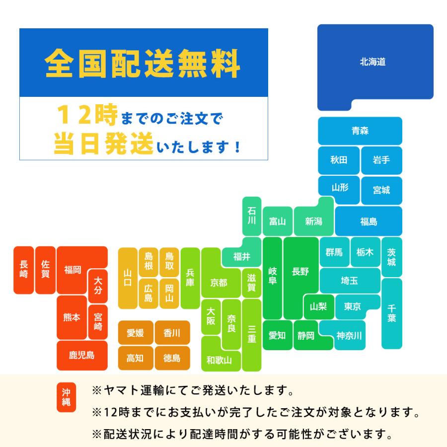 ProBook 450 【WEBカメラ&テンキー】ノートパソコン Windows11 Office